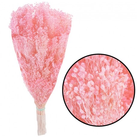 Brooms Rosa Pres. 100 grs