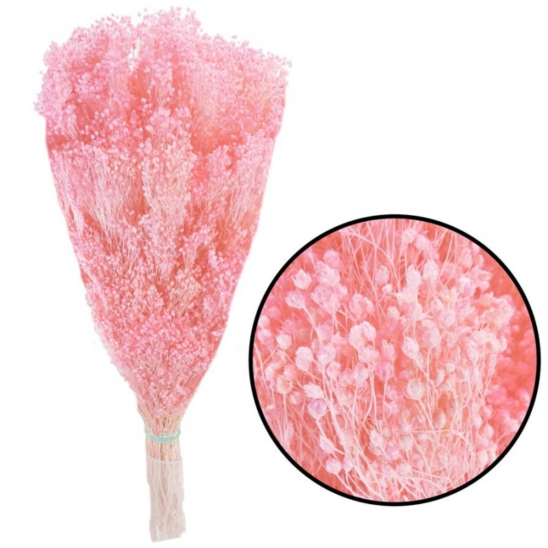 Brooms Rosa Pres. 100 grs