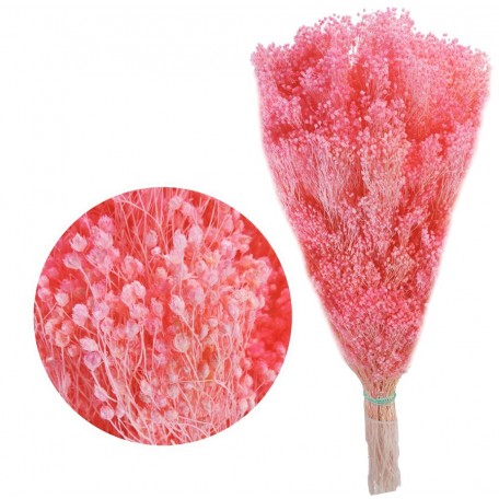 Brooms Rosa Fuerte Pres. 100 grs